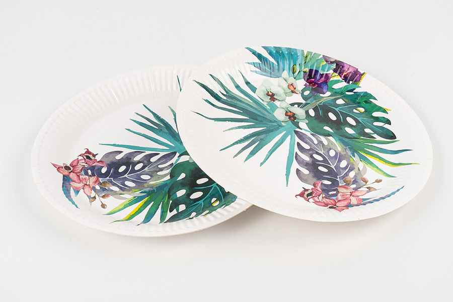 Assiettes en papier rondes standard